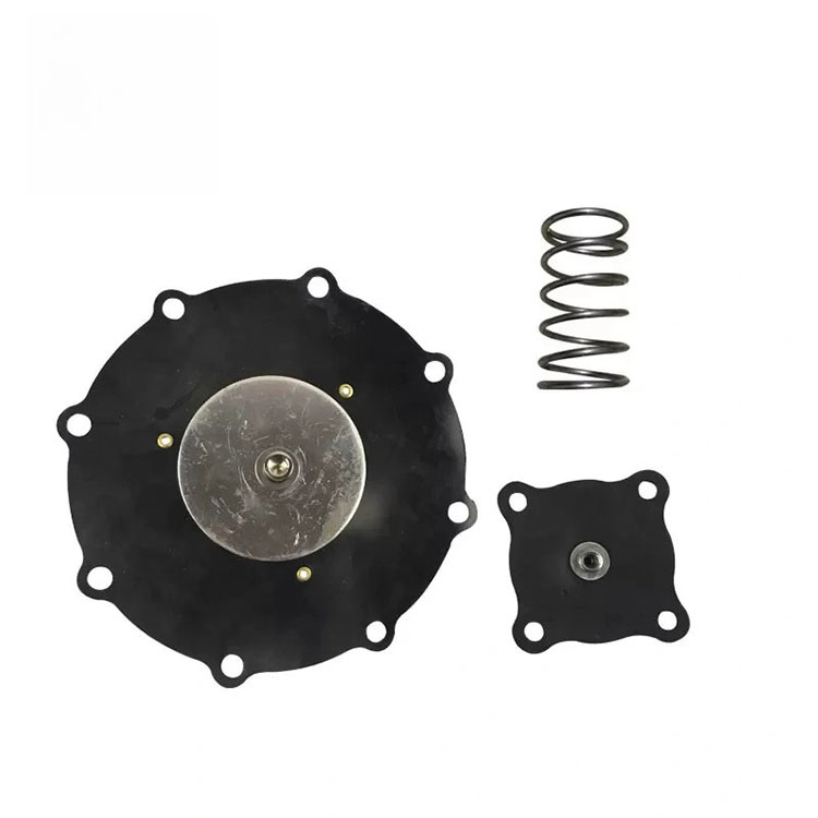 Diaphragm Repair Kit para sa 3 Inch Right Angle Solenoid Valve