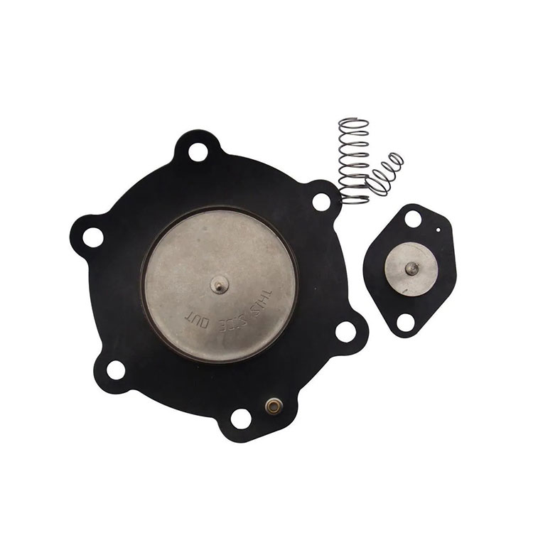 Industrial Diaphragm Replacement Kit para sa Pulse Jet Valve